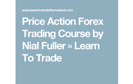 Nial Fuller s Price Action Trading Course Giga Courses